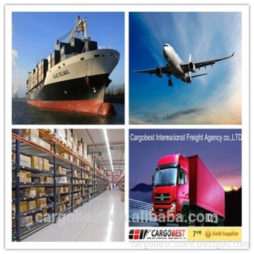 forwarding agent from Shanghai/Ningbo/Qingdao/Guangzhou/Shenzhen/Tianjin to dar es salaam tanzania